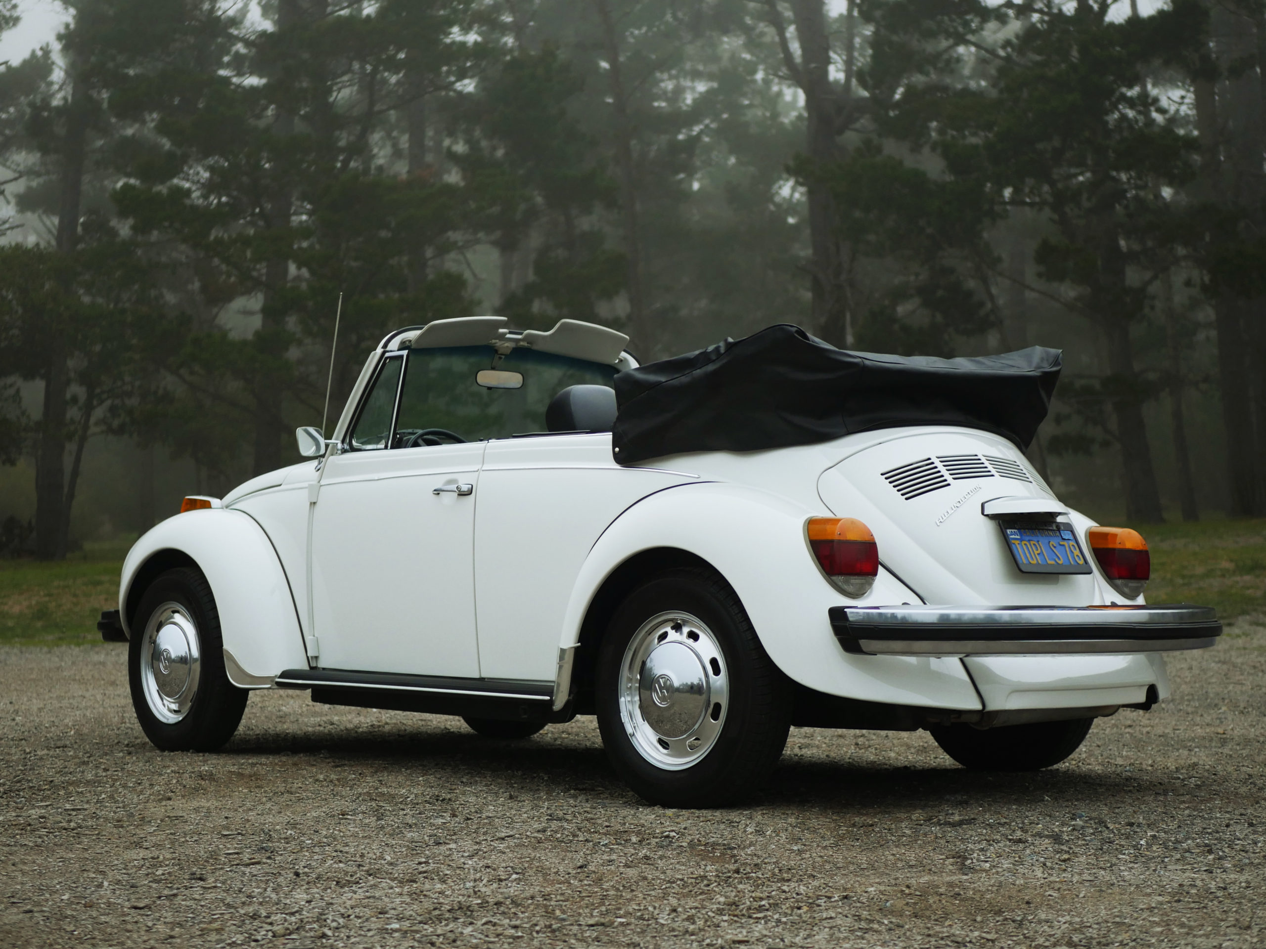 topless-convertible-beetle-white-monterey-ca-monterey-touring-vehicles
