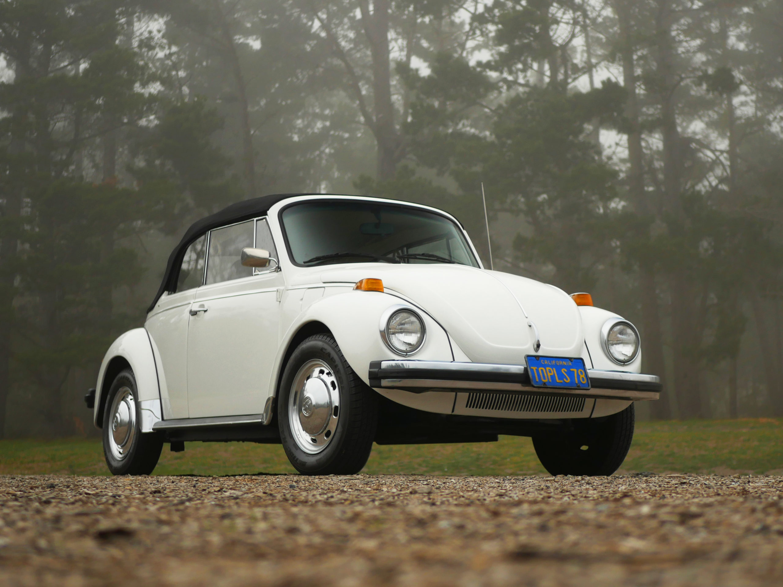 volkswagon-beetle-bug-convertible-monterey-ca-monterey-touring-vehicles