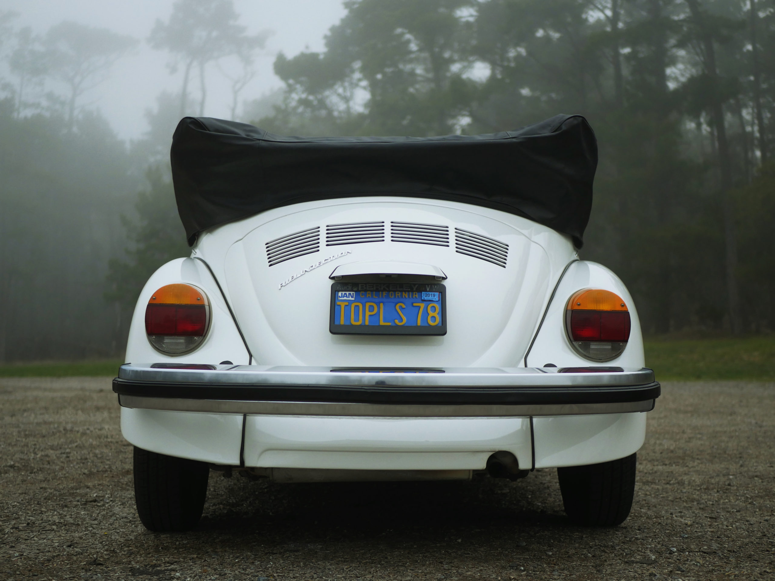 volkswagon-beetle-bug-topless-monterey-ca-monterey-touring-vehicles