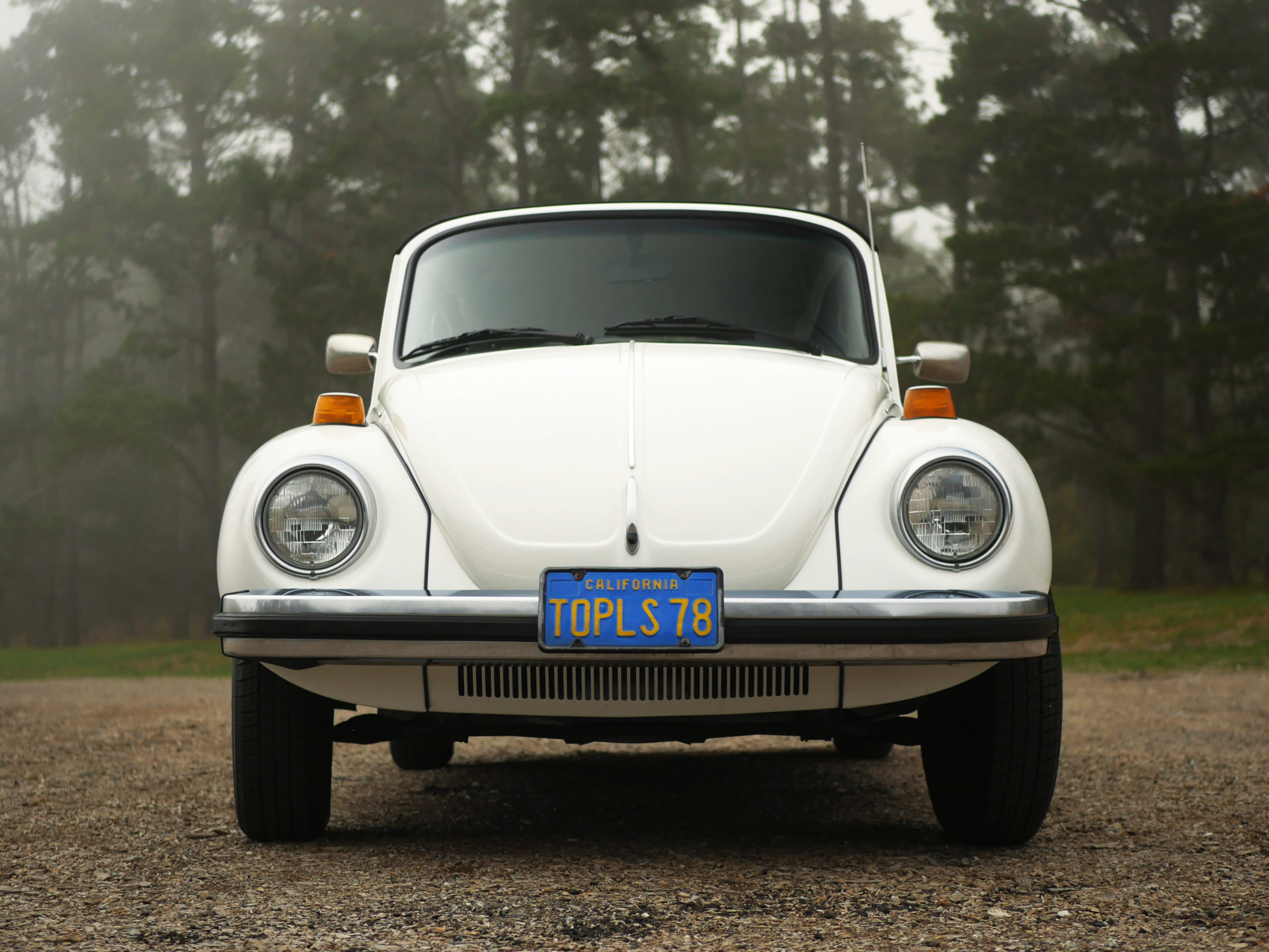 white-volkswagon-convertible-beetle-monterey-ca-monterey-touring-vehicles