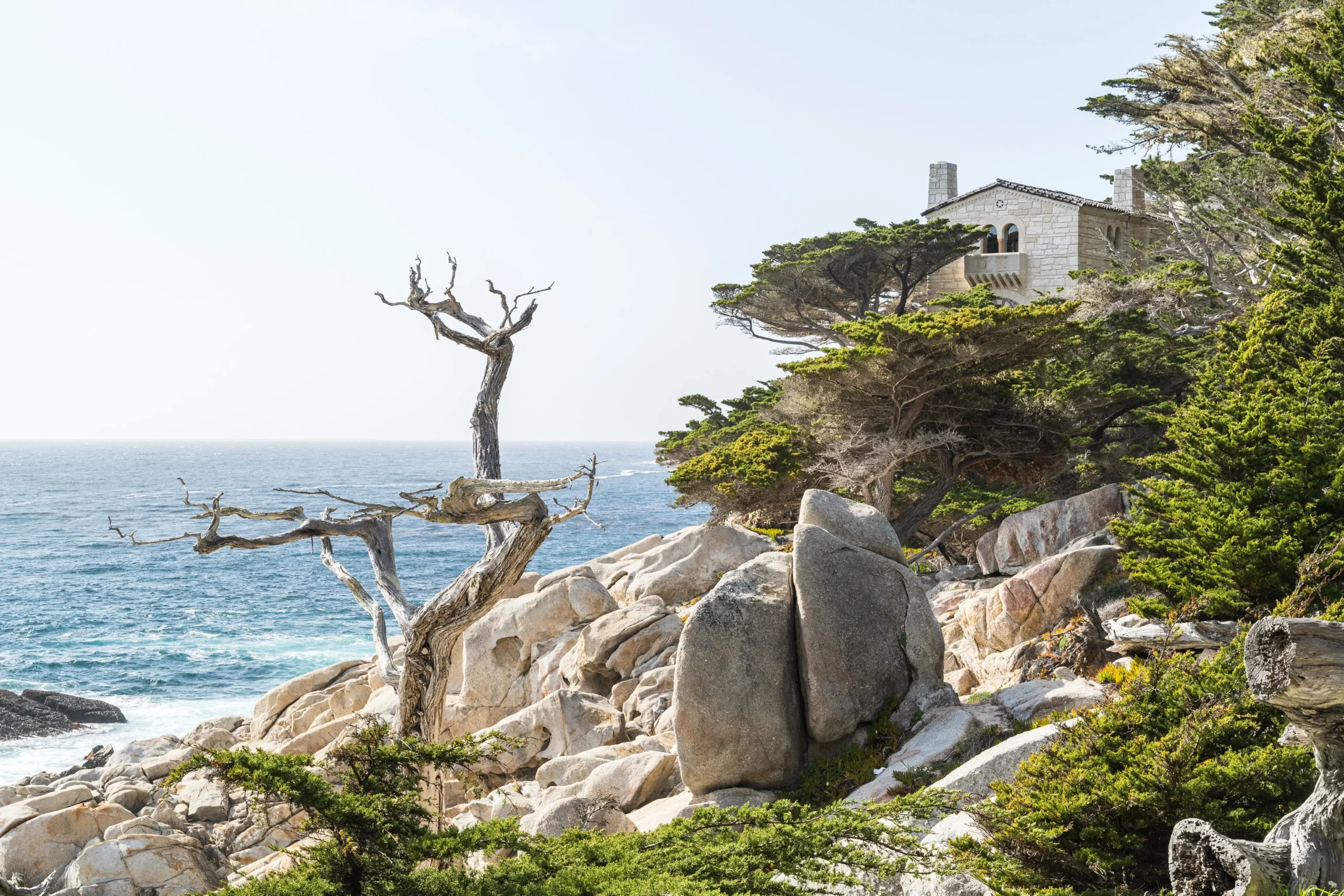 ghost trees at pescadro point