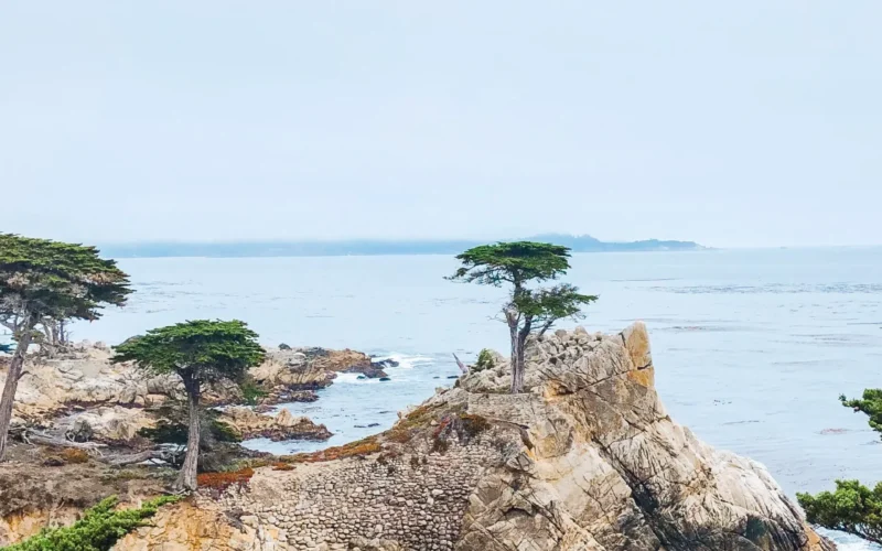 lone-cypress-on-17-mile-drive lone cypress on 17 mile drive