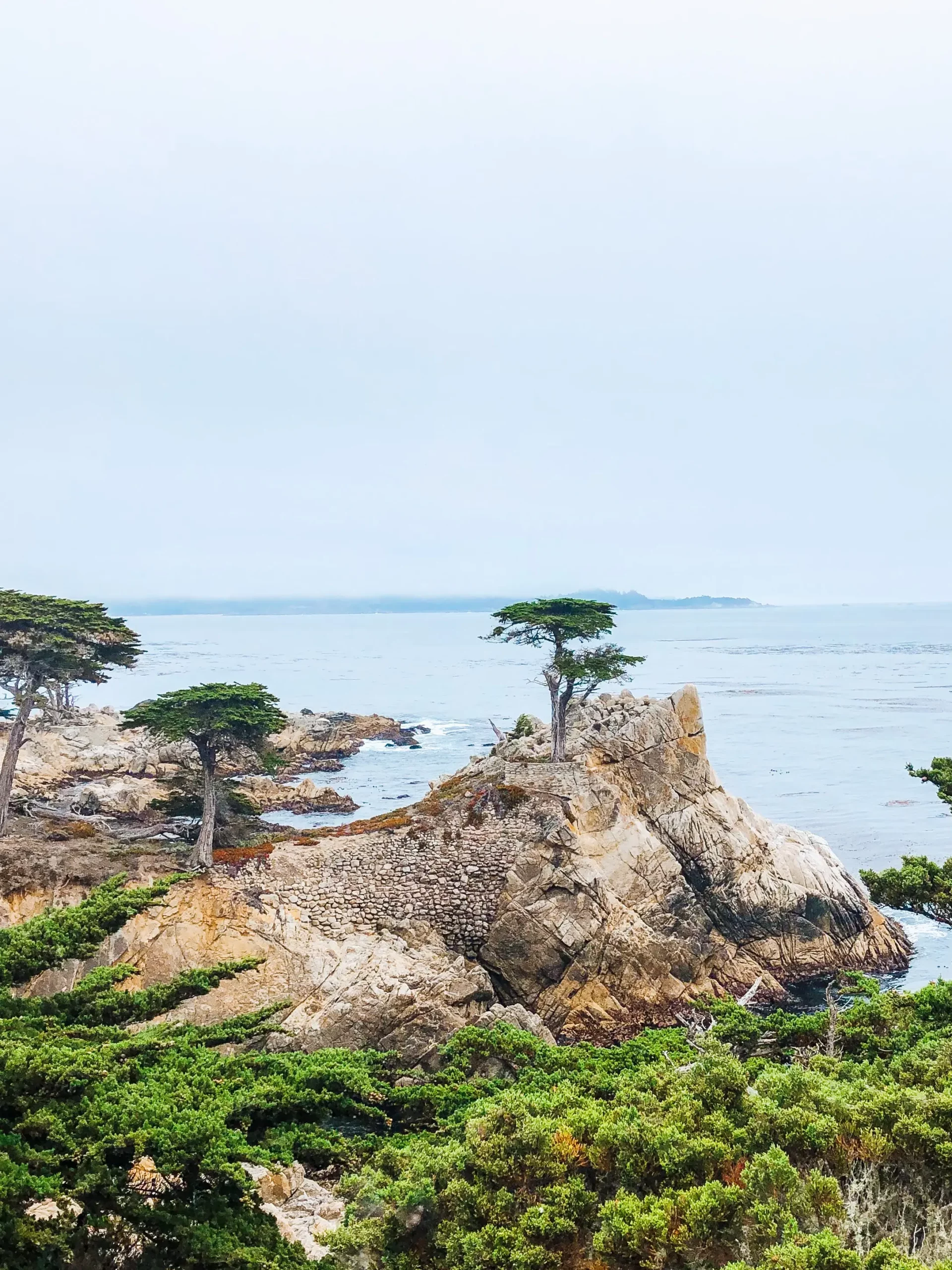 lone cypress on 17 mile drive