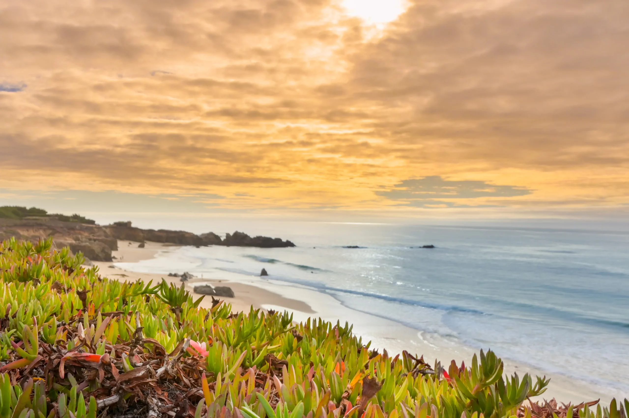 garrapata beach at sunset