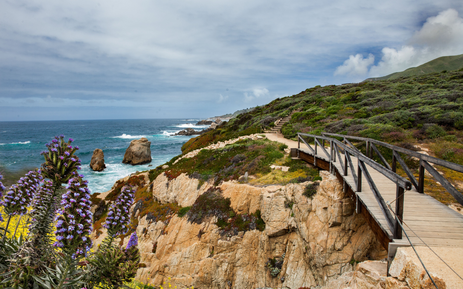 trail with view of the ocean at Garrapata State Park Bluff Trail near which is a hidden gem for people who visit carmel ca
